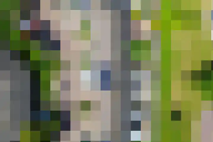 Verschansing 22 Rozenburg thumbnail 36