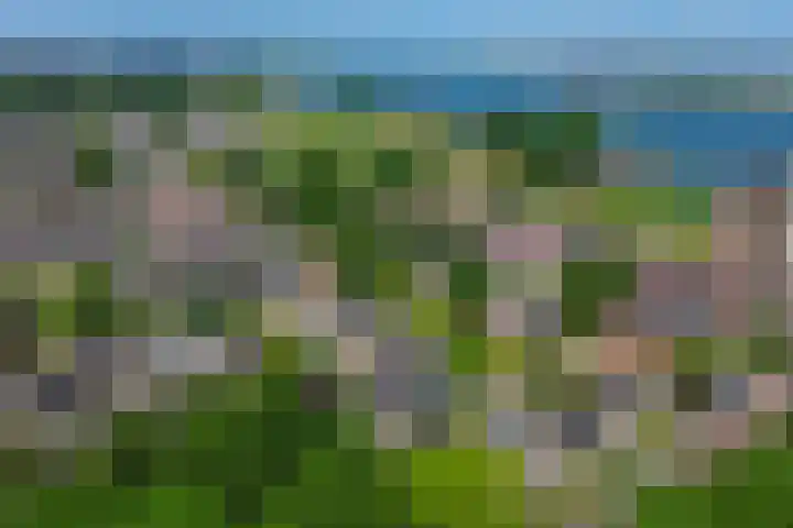 Verschansing 22 Rozenburg thumbnail 38