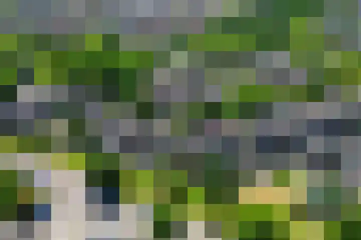 Verschansing 22 Rozenburg thumbnail 39