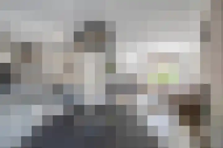 Verschansing 22 Rozenburg thumbnail 8