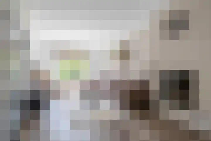 Verschansing 22 Rozenburg thumbnail 9