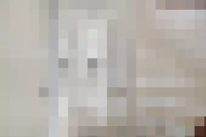 Verschansing 25 Rozenburg thumbnail 21