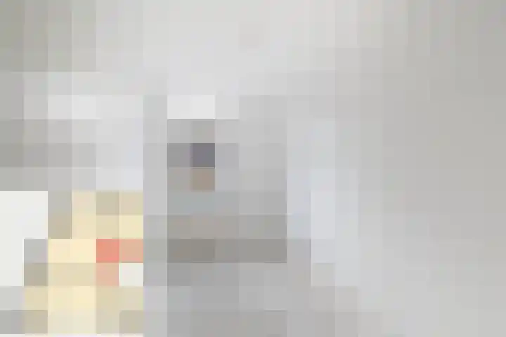 Verschansing 25 Rozenburg thumbnail 24