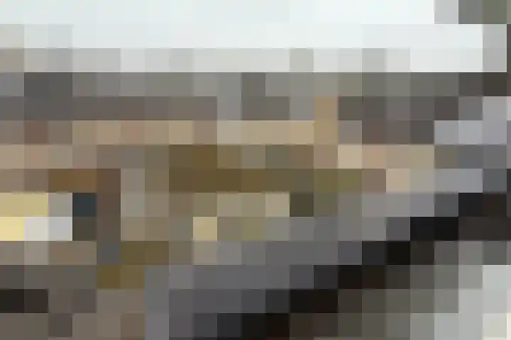 Verschansing 25 Rozenburg thumbnail 33