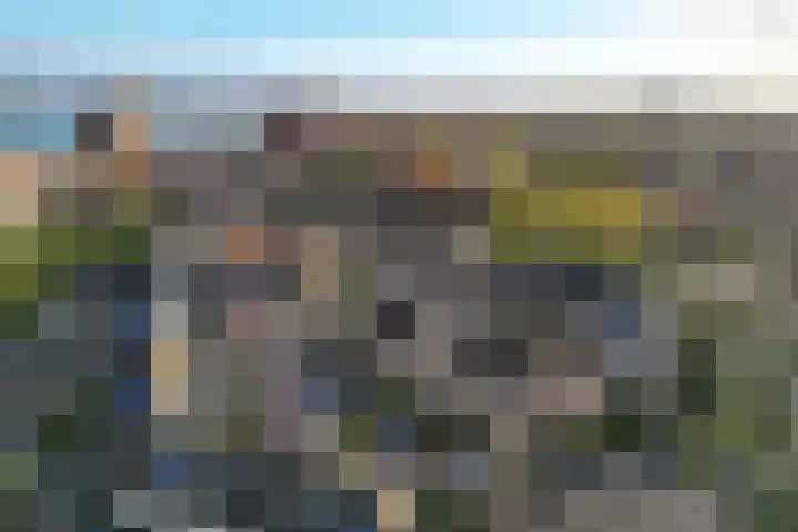 Verschansing 25 Rozenburg thumbnail 35