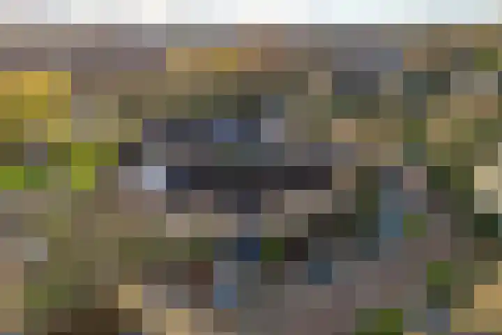 Verschansing 25 Rozenburg thumbnail 37