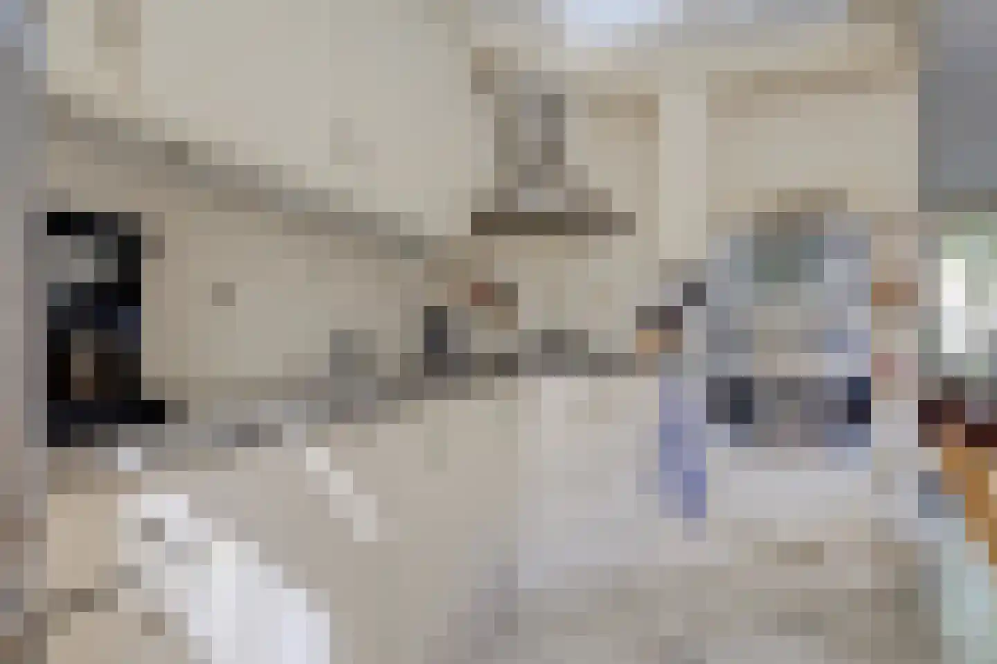 Verschansing 9 Rozenburg thumbnail 10