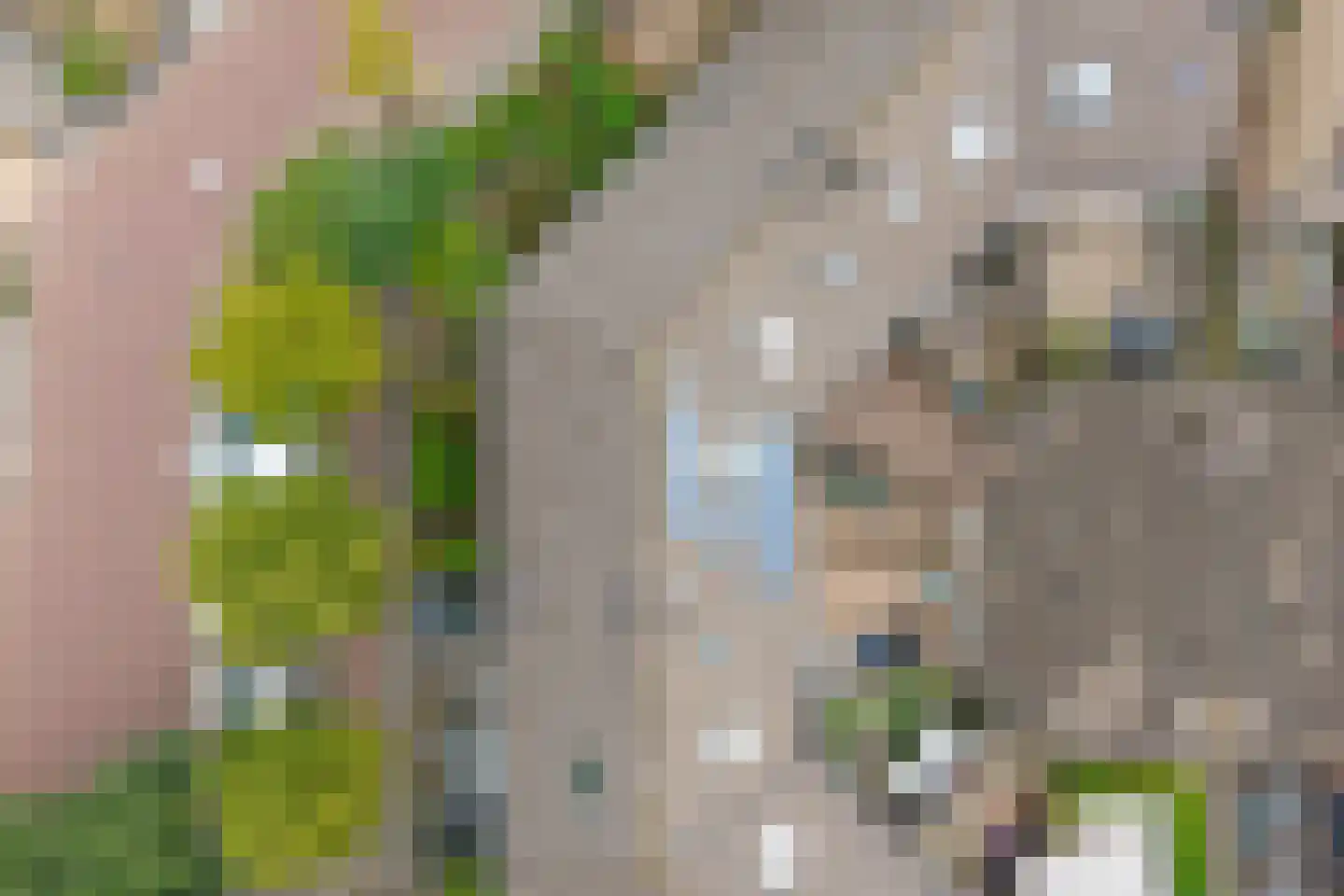 Verschansing 9 Rozenburg thumbnail 24