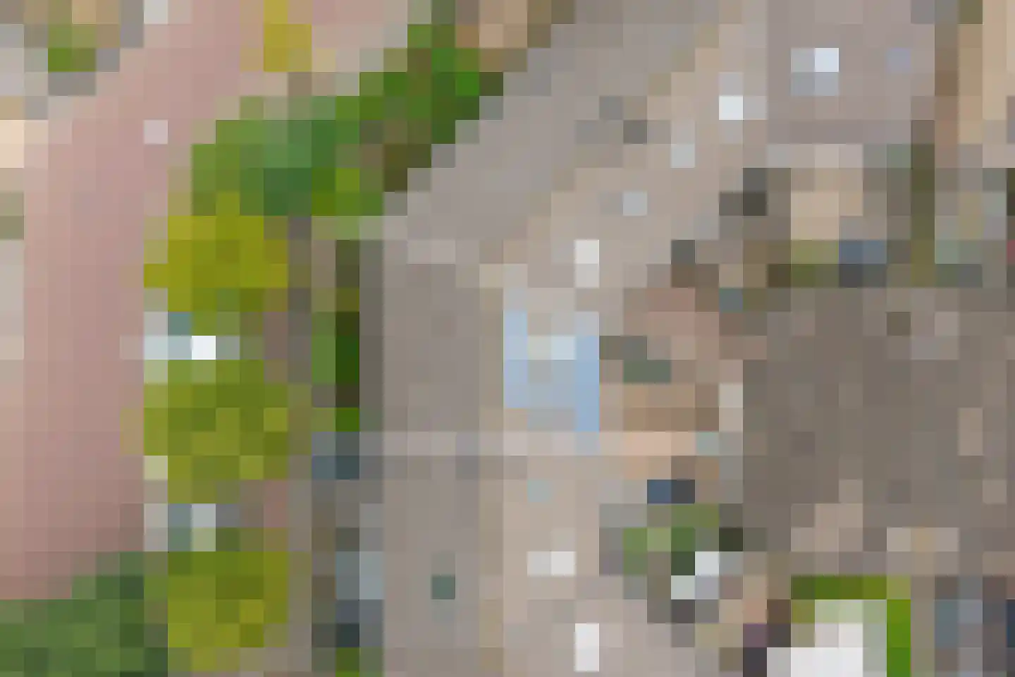 Verschansing 9 Rozenburg thumbnail 25
