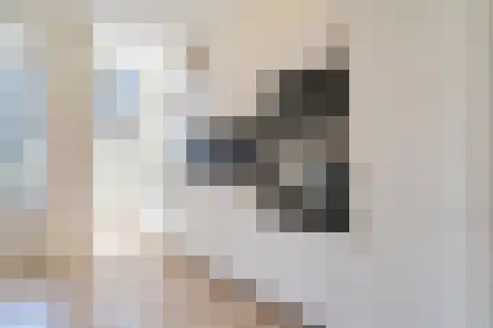 Verschoorstraat 70 02 Rotterdam thumbnail 12