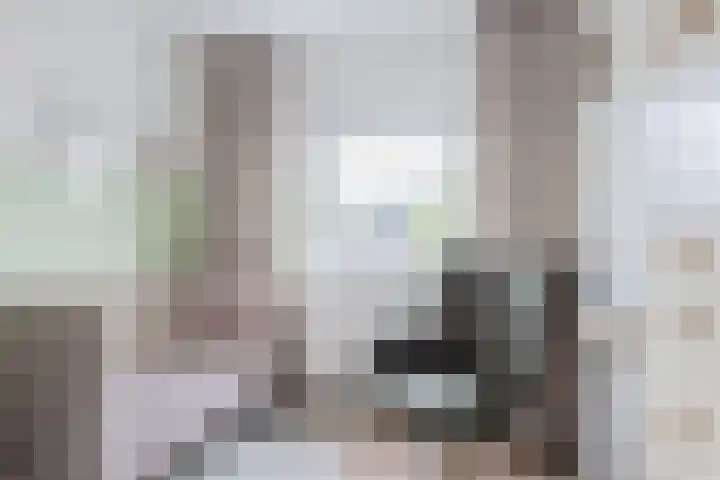 Verschoorweg 6 Lienden thumbnail 19