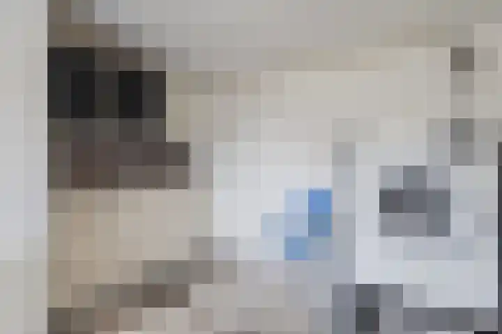 Verschoorweg 6 Lienden thumbnail 29