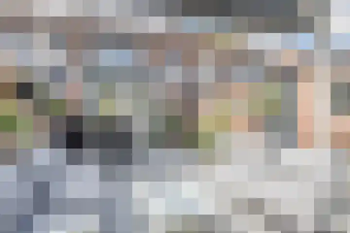 Verschoorweg 6 Lienden thumbnail 30