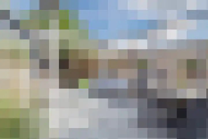 Verschoorweg 6 Lienden thumbnail 31