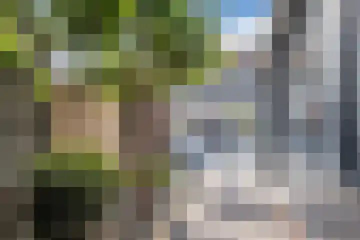 Verschoorweg 6 Lienden thumbnail 32
