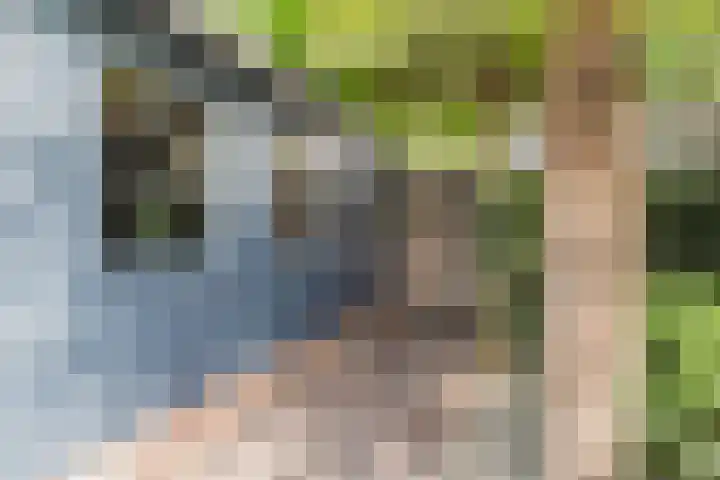 Verschoorweg 6 Lienden thumbnail 33