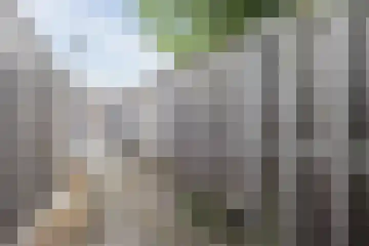 Verschoorweg 6 Lienden thumbnail 34