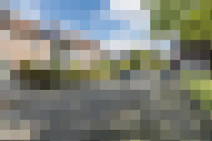 Verschoorweg 6 Lienden thumbnail 36