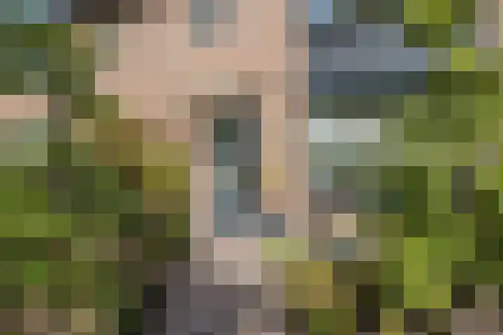 Verschoorweg 6 Lienden thumbnail 4