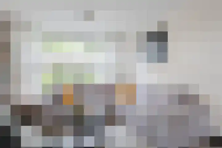 Verschoorweg 6 Lienden thumbnail 7