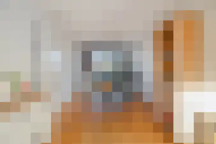 Verschuurstraat 12 Breda thumbnail 13