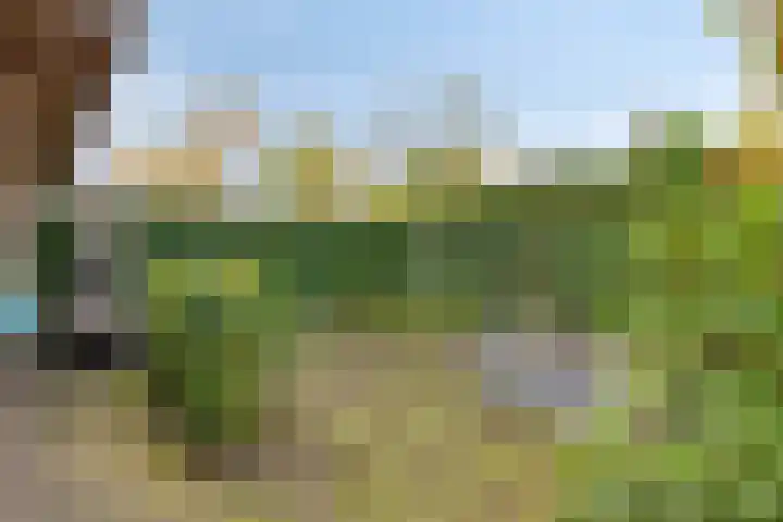 Verschuurstraat 12 Breda thumbnail 32