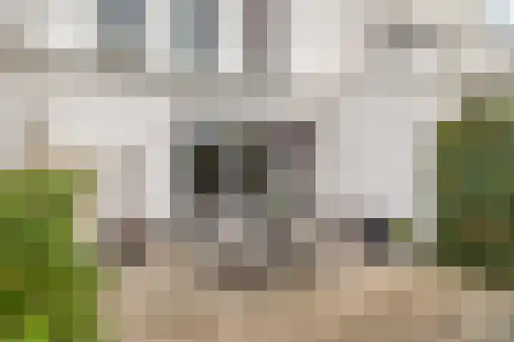 Verschuurstraat 12 Breda thumbnail 33