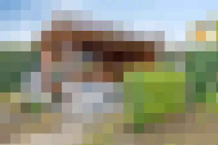 Verschuurstraat 12 Breda thumbnail 37