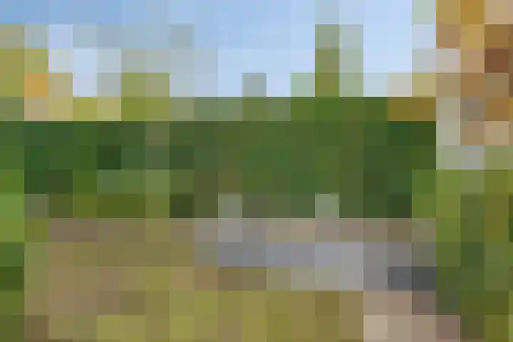 Verschuurstraat 12 Breda thumbnail 39