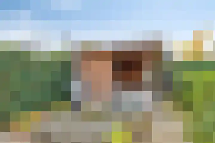 Verschuurstraat 12 Breda thumbnail 40