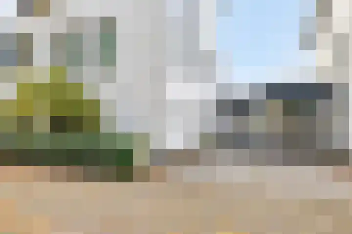 Verschuurstraat 12 Breda thumbnail 43