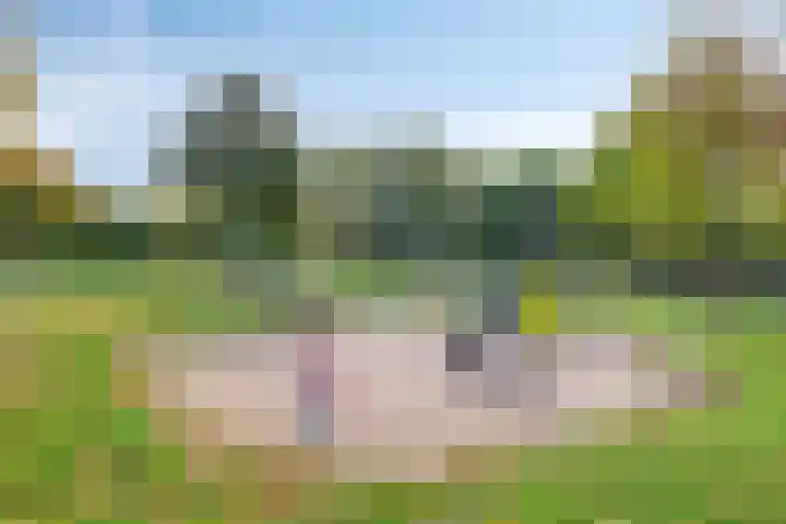 Verschuurstraat 12 Breda thumbnail 47