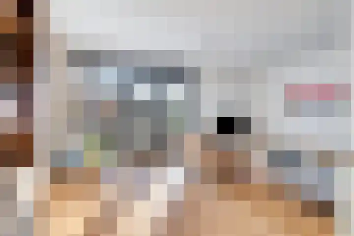Verschuurstraat 12 Breda thumbnail 6