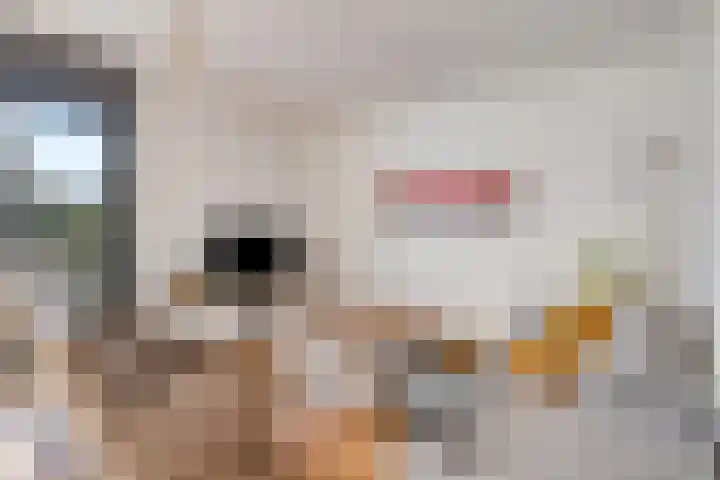 Verschuurstraat 12 Breda thumbnail 9