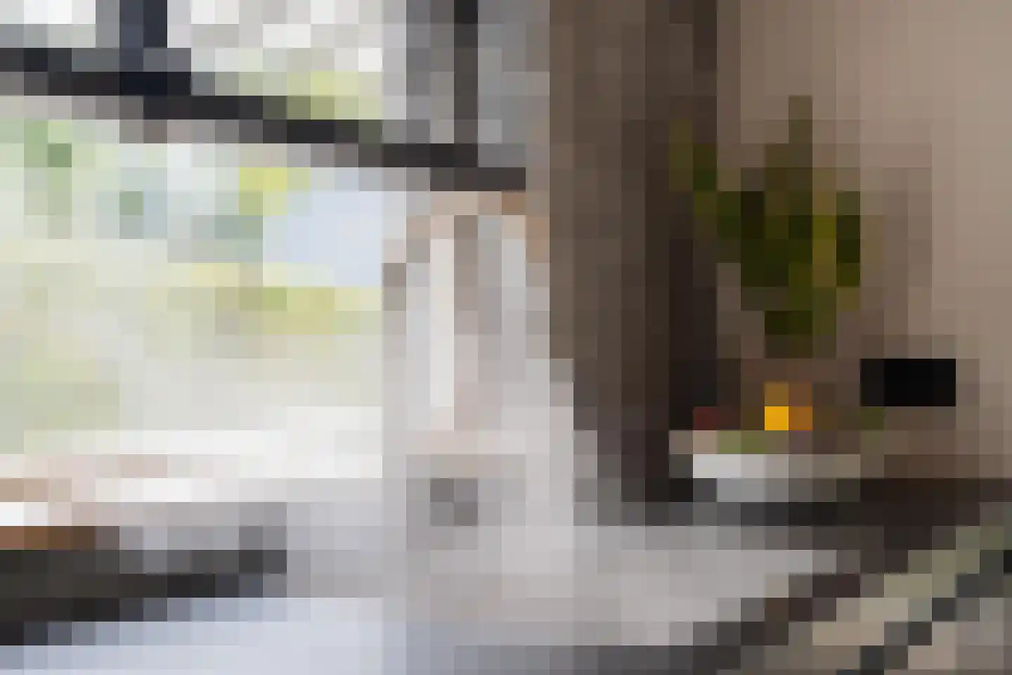Versendael 7 Beusichem thumbnail 15