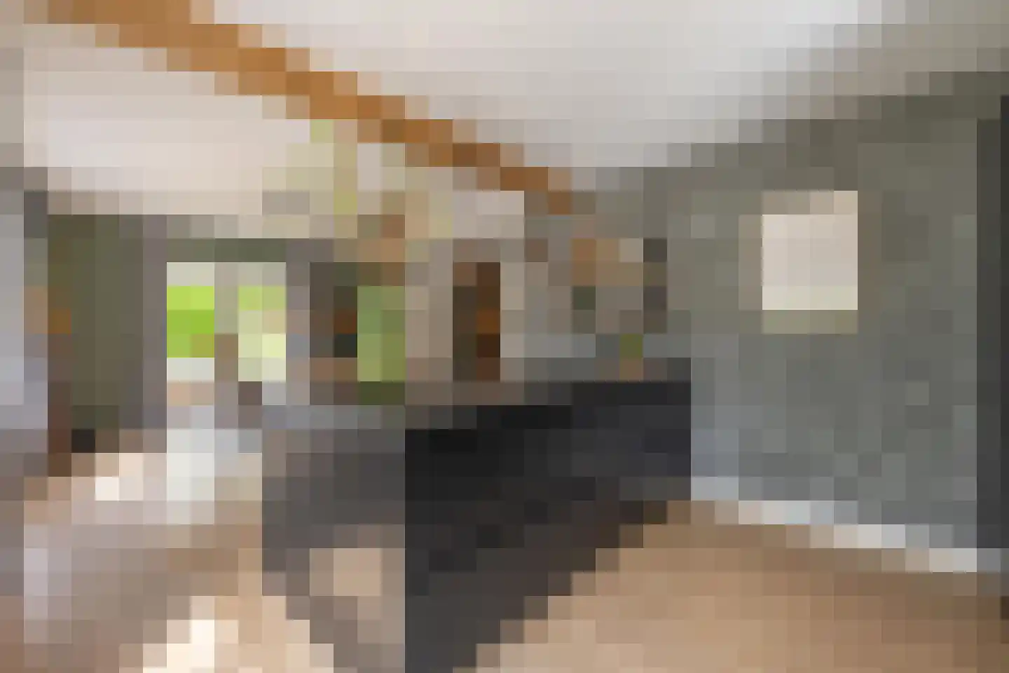 Versendael 7 Beusichem thumbnail 17