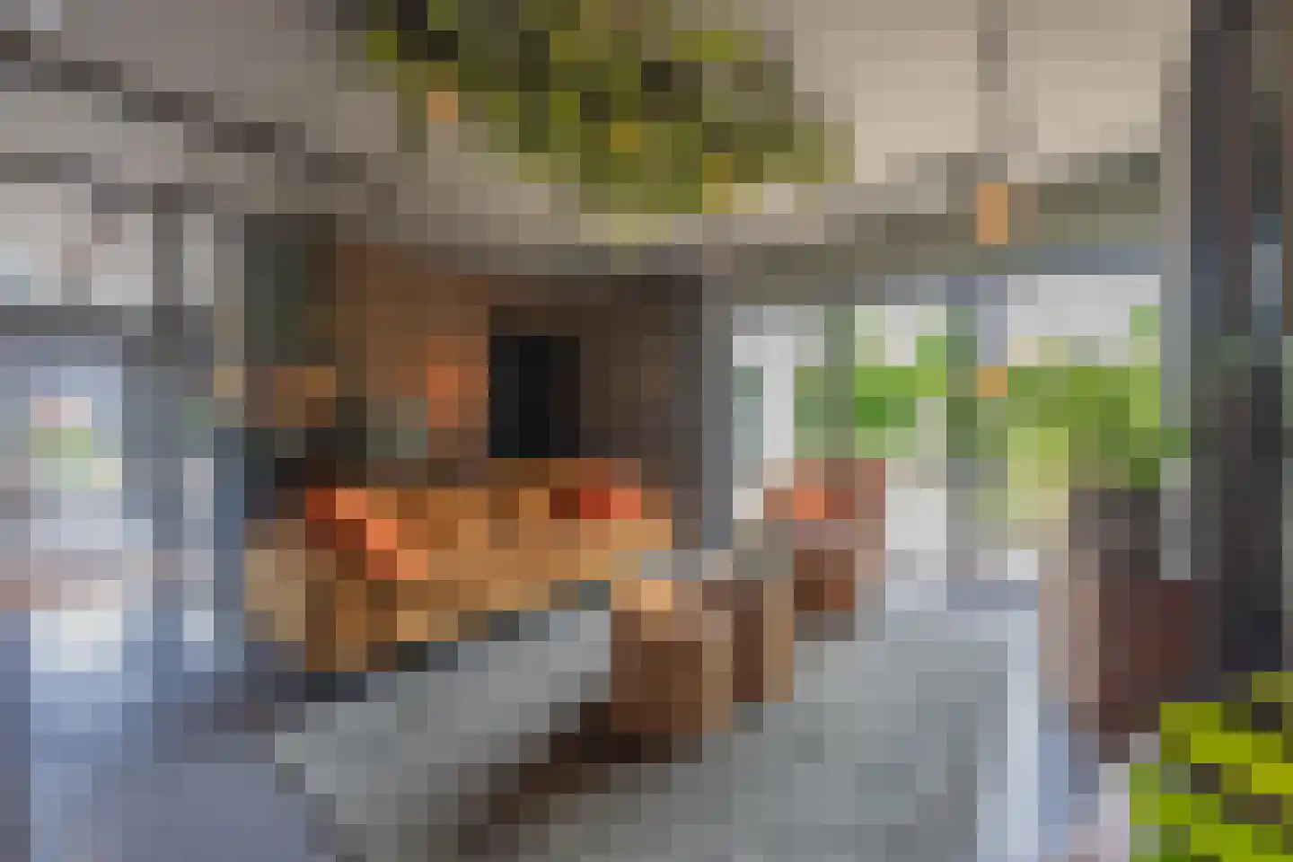 Versendael 7 Beusichem thumbnail 37