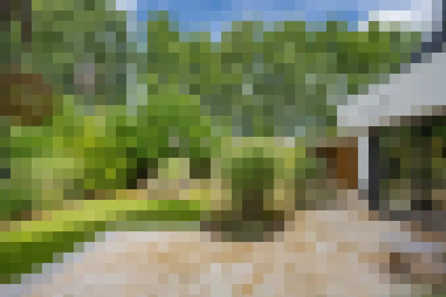 Versendael 7 Beusichem thumbnail 4