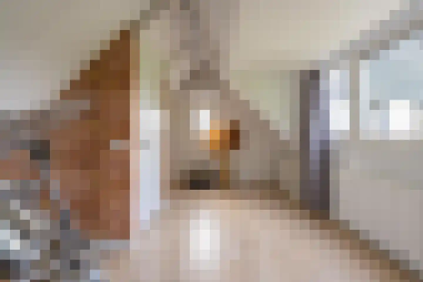 Versendael 7 Beusichem thumbnail 43