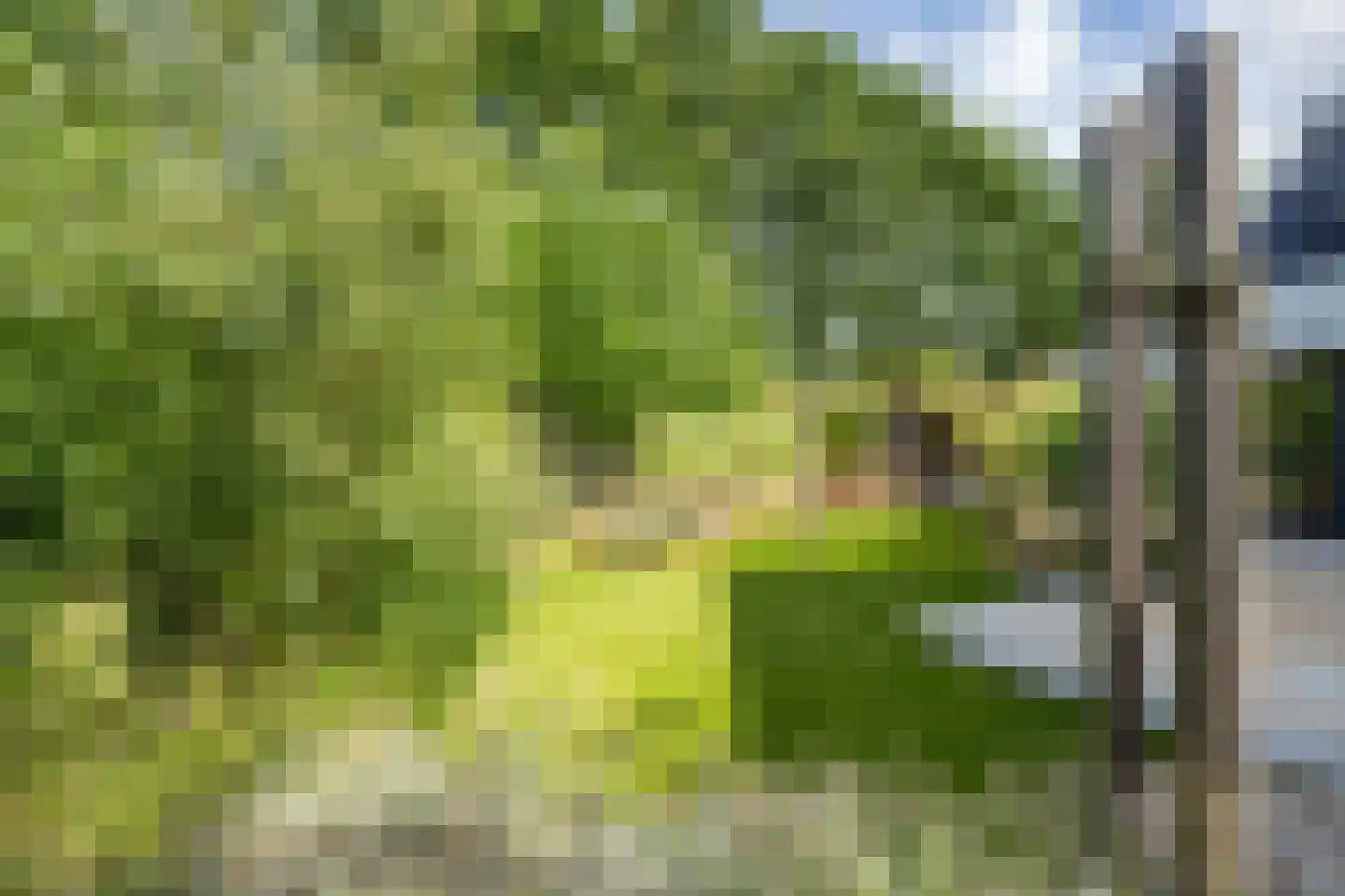 Versendael 7 Beusichem thumbnail 44