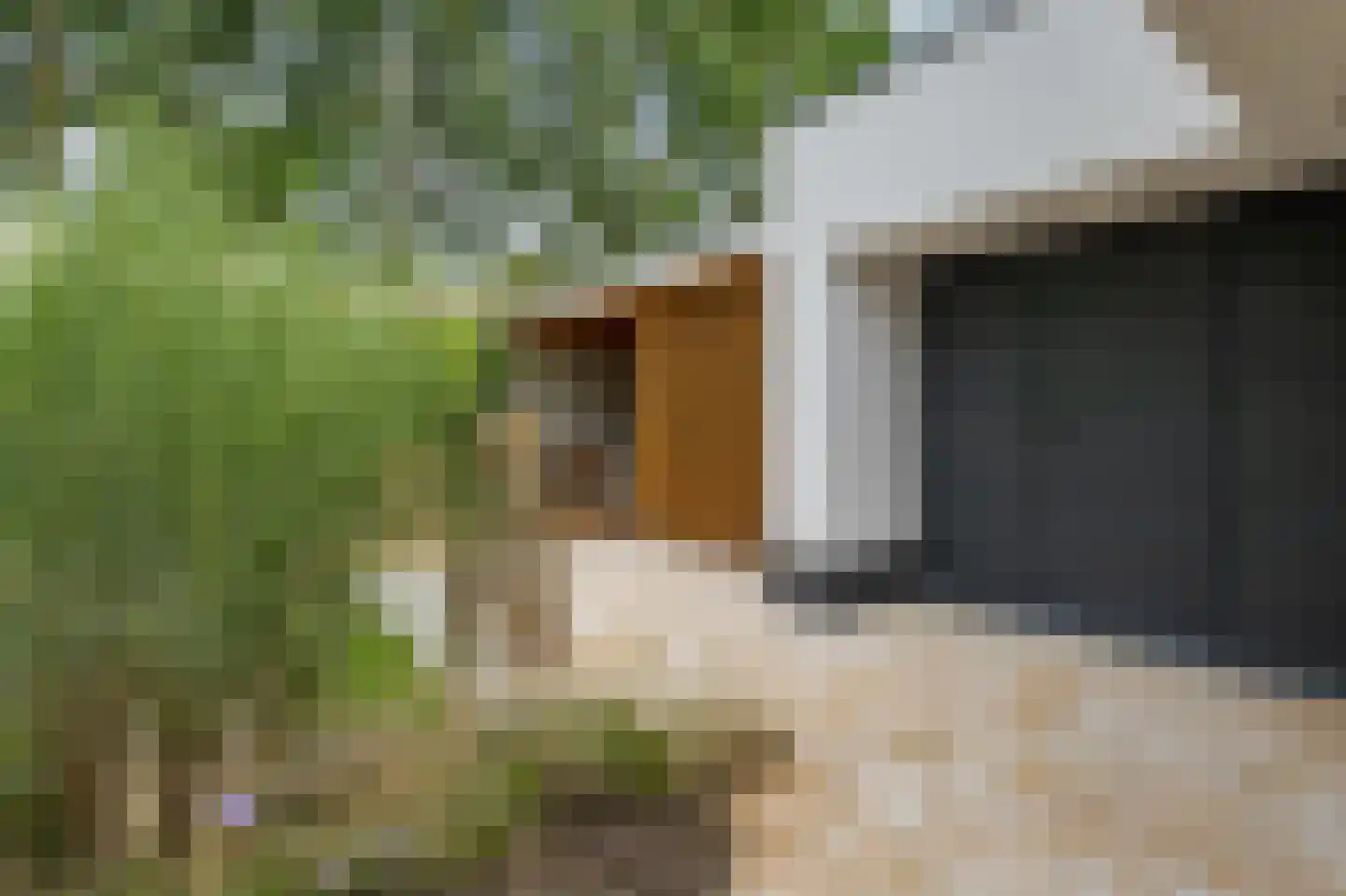 Versendael 7 Beusichem thumbnail 48