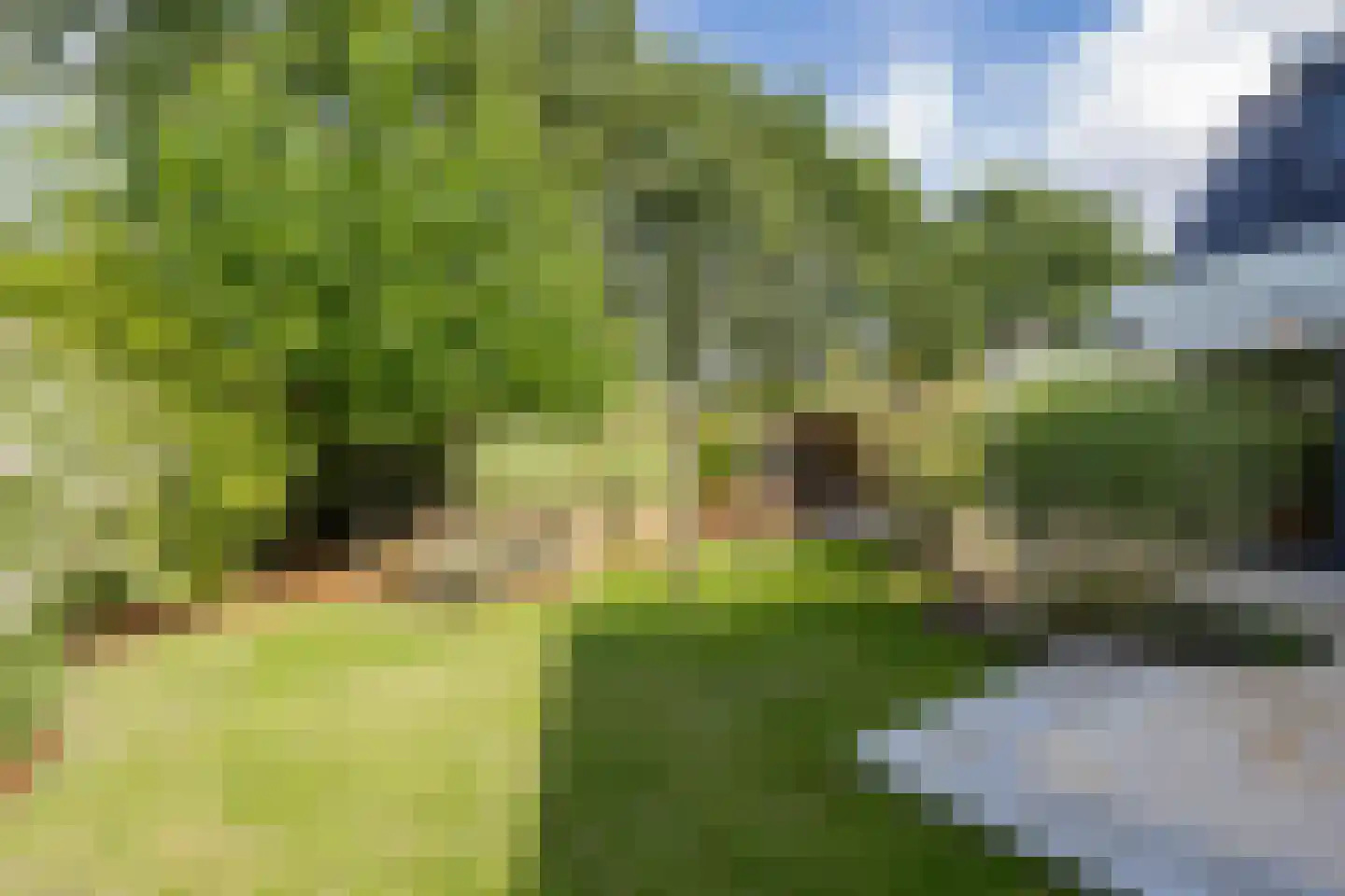Versendael 7 Beusichem thumbnail 52
