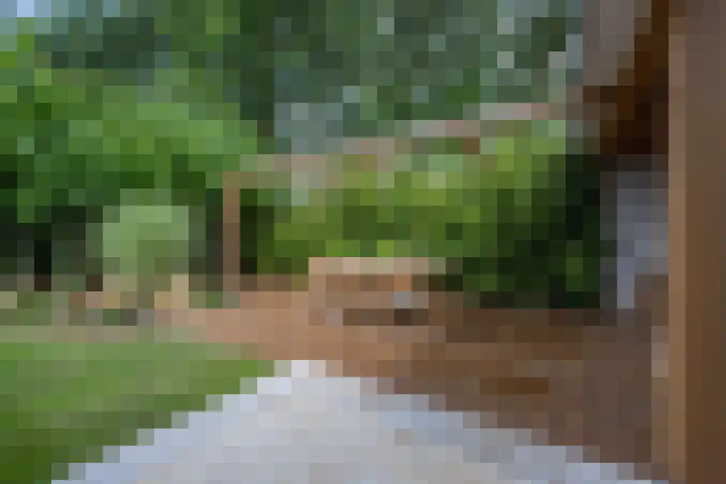Versendael 7 Beusichem thumbnail 54