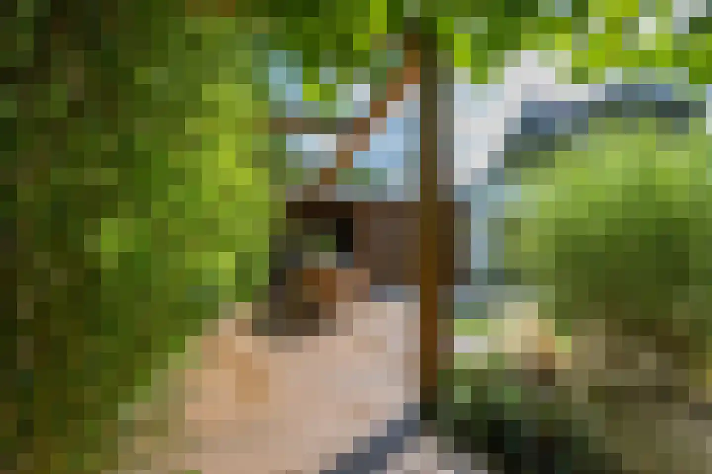 Versendael 7 Beusichem thumbnail 62