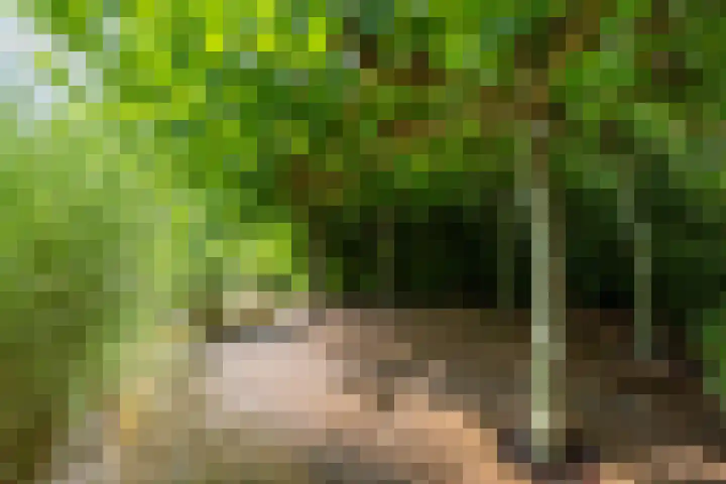 Versendael 7 Beusichem thumbnail 63