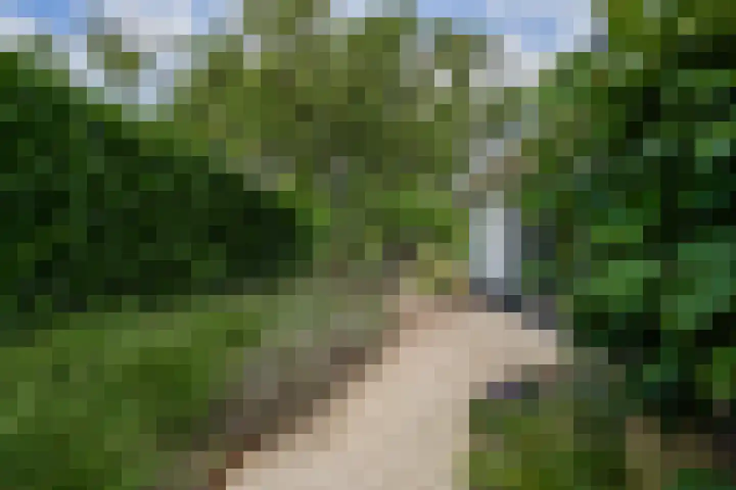 Versendael 7 Beusichem thumbnail 65