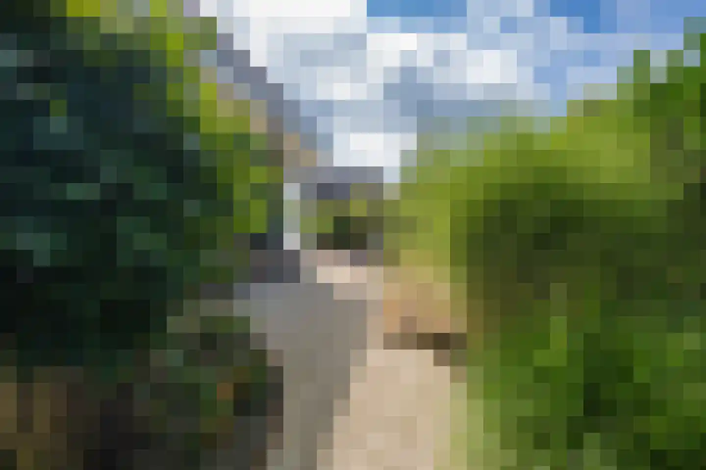 Versendael 7 Beusichem thumbnail 66
