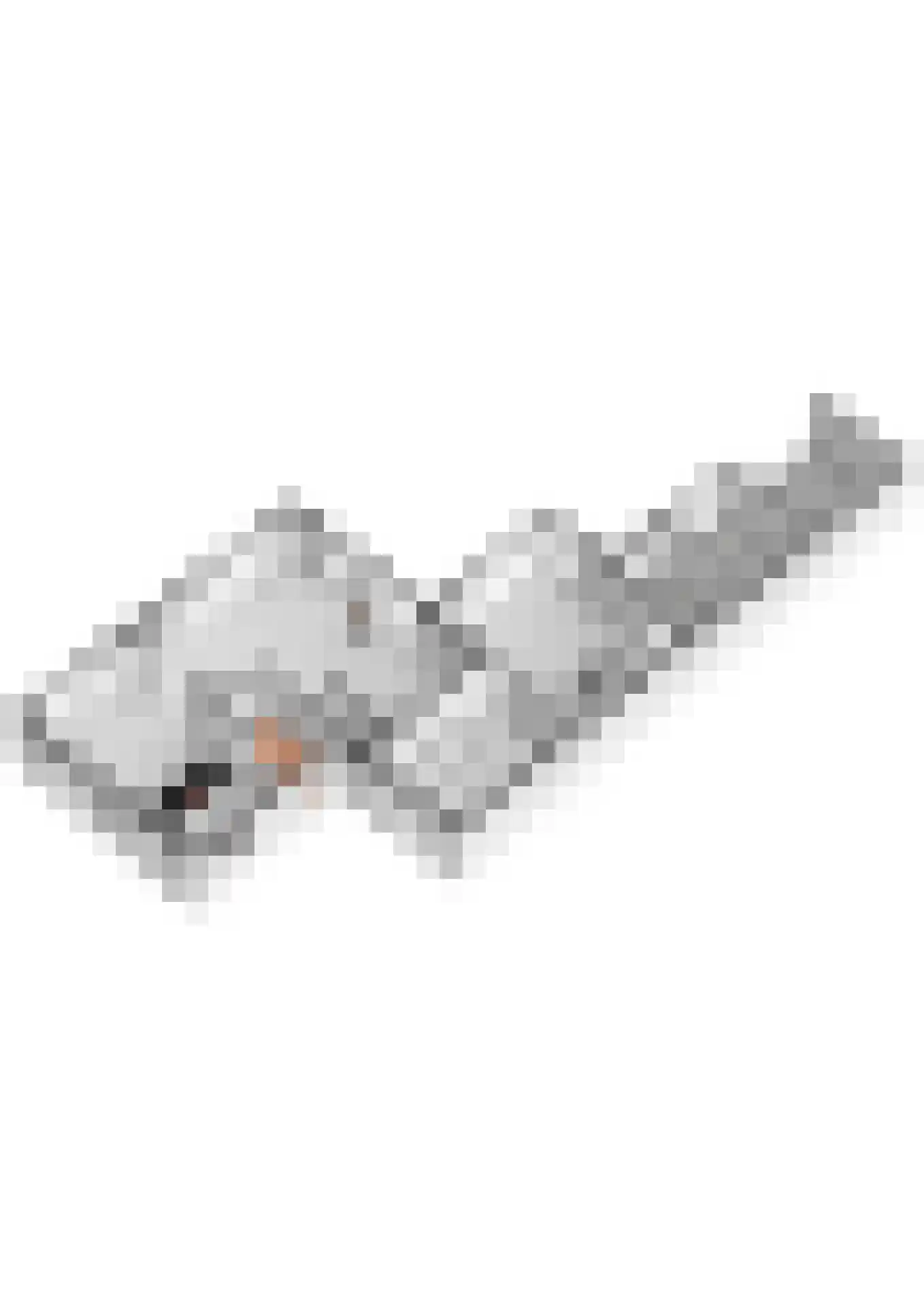 Versendael 7 Beusichem thumbnail 88