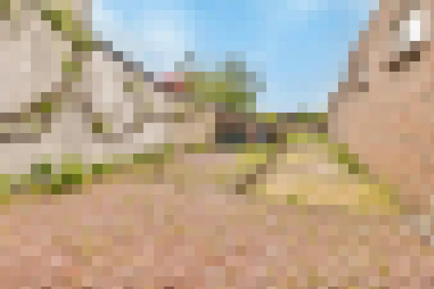 Versiliënboschweg 11 Heerlen thumbnail 10