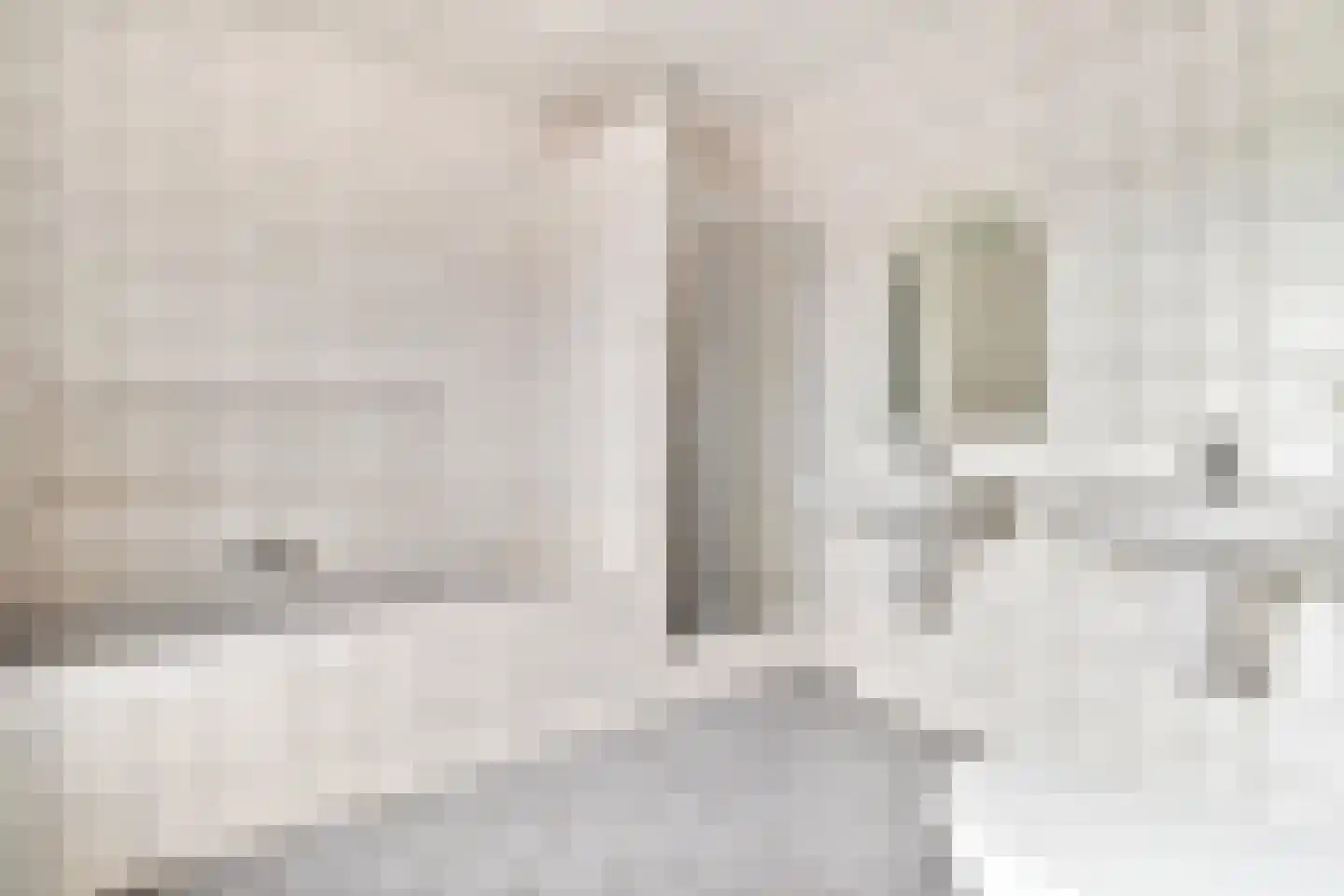 Versiliënboschweg 11 Heerlen thumbnail 14